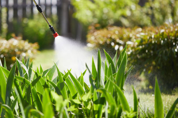 Tamper-Resistant Bait Stations for Rodents in Vale