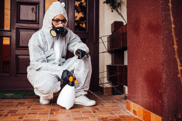Attic and Crawl Space Rodent Treatment in Vale